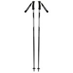 Swix Winter Sports Recreation Competition Downhill Alpine Skiing Groomed Trail Techlite Ms Aluminum Poles