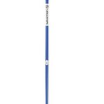 Salomon Arctic Ski Pole, Blue, 125