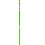 Salomon Arctic Ski Pole, Green, 120