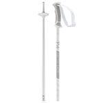 Salomon Arctic Lady Ski Poles – 110,White/Grey