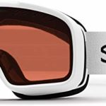 Smith Optics Project Adult Snow Goggles – White / Rc36 / One Size
