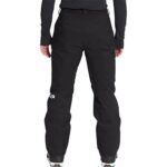 THE NORTH FACE Men’s Freedom Insulated Pant – Regular, TNF Black, Medium Regular