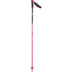 Salomon Angel S3 Women’s Ski Pole, Red/Purple, 110