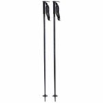 Line Pin Ski Poles Sz 110cm (44in) Black