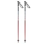 Swix World Cup Pro Junior SL Ski Poles, 95 cm Multi