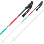 Swix Techlite Pro Performance Aluminum Ski Poles – Women’s One Color, 115cm