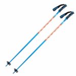 K2 Ski Unisex – Adult Freeride 18 Ski Poles, Unisex – Adults, Ski Poles, 10E3401, Blue, 115
