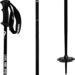 LEVEL8 Level Nine Sports Aluminum Ski Poles 54in