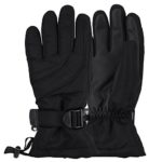 Women’s Thinsulate Lined Waterproof Ski Glove (Black, Small/Medium)