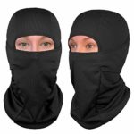 The Friendly Swede Balaclava Face Mask – Ski and Winter Sports Headwear, Neck Gaiter and Motorcycle Helmet Liner (Standard/Nordic/Arctic) – [1-Pack or 2-Pack]