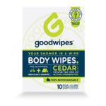 GoodWipes Biodegradable Cleansing Deodorizing Body Wipes for Men Box of 10 individually wrapped