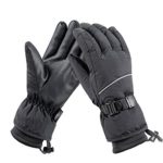 Waterproof Ski Snowboard Gloves with 3M Thinsulate, Cold Weather Gloves for Men(L)